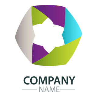 asymmetric star inside hexagon company Logo PNG Vector