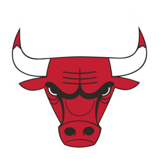 Chicago Bulls Logo PNG Vector
