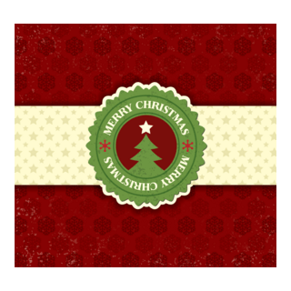 christmas snowflake Logo PNG Vector