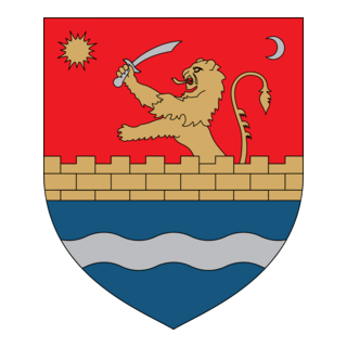 Consiliul Judetean Timis Logo PNG Vector