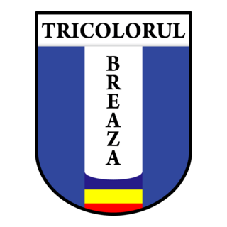 CS Tricolorul Breaza Logo PNG Vector