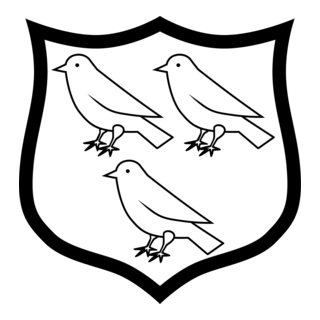 Dundalk FC Logo PNG Vector