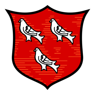 Dundalk FC (Old) Logo PNG Vector