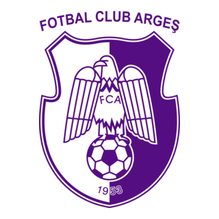 FC Arges Pitesti Logo PNG Vector