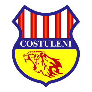 FC Costuleni Logo PNG Vector