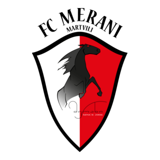FC Merani Martvili Logo PNG Vector