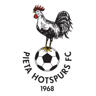 FC Pieta Hotspurs Logo PNG Vector