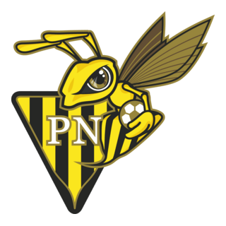 FC Progrès Niedercorn Logo PNG Vector