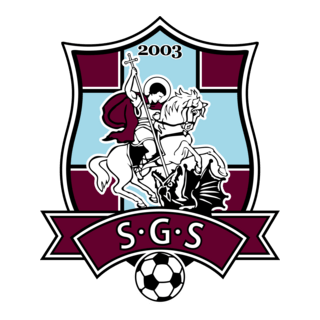 FC Sfintul Gheorghe Logo PNG Vector
