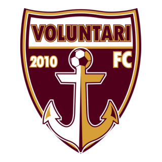 FC Voluntari Logo PNG Vector