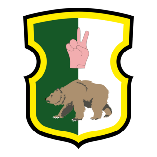 FC Winden Logo PNG Vector