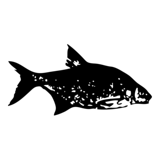 FISH Logo PNG Vector