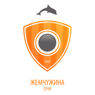 FK Zhemchuzhina-Sochi Logo PNG Vector