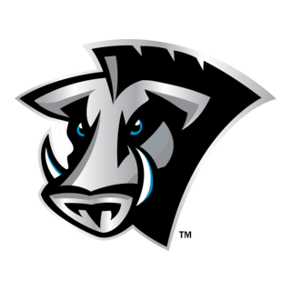 Florida Tuskers Logo PNG Vector