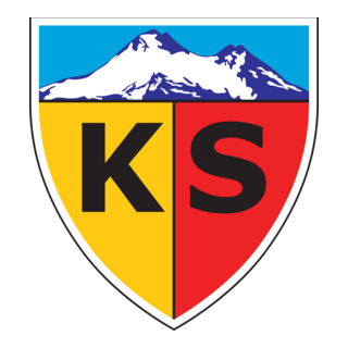 Kayserispor Kayseri Logo PNG Vector