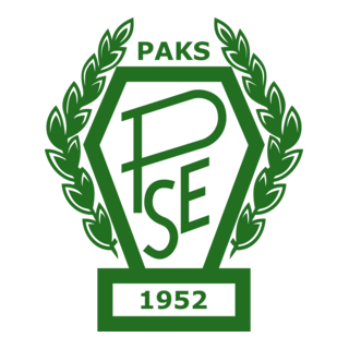 Paksi SE Logo PNG Vector