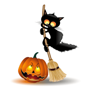 scarcy black cat halloween pumpkin Logo PNG Vector