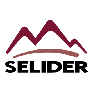 Selider Logo PNG Vector