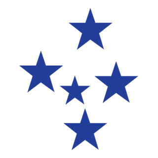 Sociedade Esportiva Recreativa e Cultural Cruzeiri Logo PNG Vector