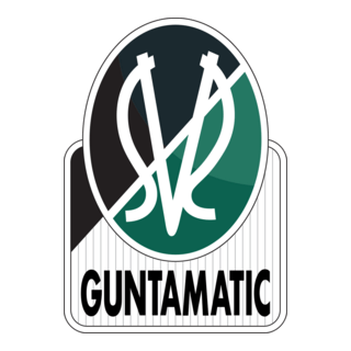 SV Ried-im-Innkreis Logo PNG Vector
