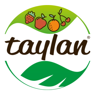 Taylan Logo PNG Vector