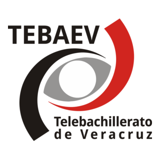 Tebaev Logo PNG Vector