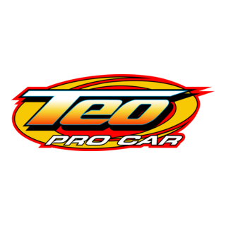 Teo Pro Car Logo PNG Vector