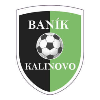 TJ Baník Kalinovo Logo PNG Vector