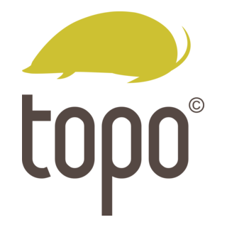 Topo Your. Com. Studio Logo PNG Vector