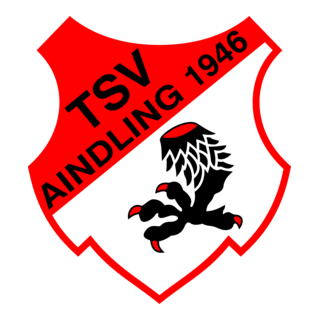 TSV Aindling Logo PNG Vector