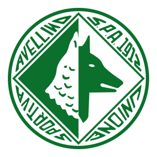 US Avellino Logo PNG Vector