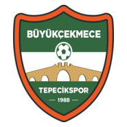 Büyükşekmece Tepecik Spor Logo PNG Vector