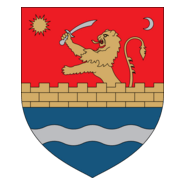 Consiliul Judetean Timis Logo PNG Vector