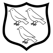 Dundalk FC Logo PNG Vector