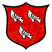Dundalk FC (Old) Logo PNG Vector