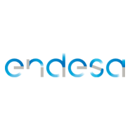 Endesa Logo PNG Vector