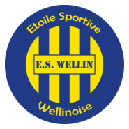 ES Wellinoise (Current) Logo PNG Vector
