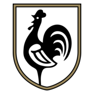 FC Glentoran Belfast Logo PNG Vector