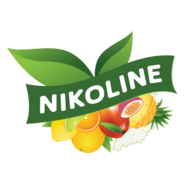 Nikoline Logo PNG Vector