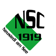NSC 1919 Logo PNG Vector