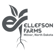 Patio & Fire Logo PNG Vector