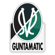 SV Ried-im-Innkreis Logo PNG Vector