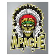 Vintage apache Logo PNG Vector