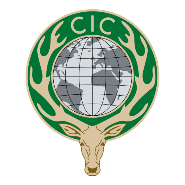 CIC Logo PNG Vector
