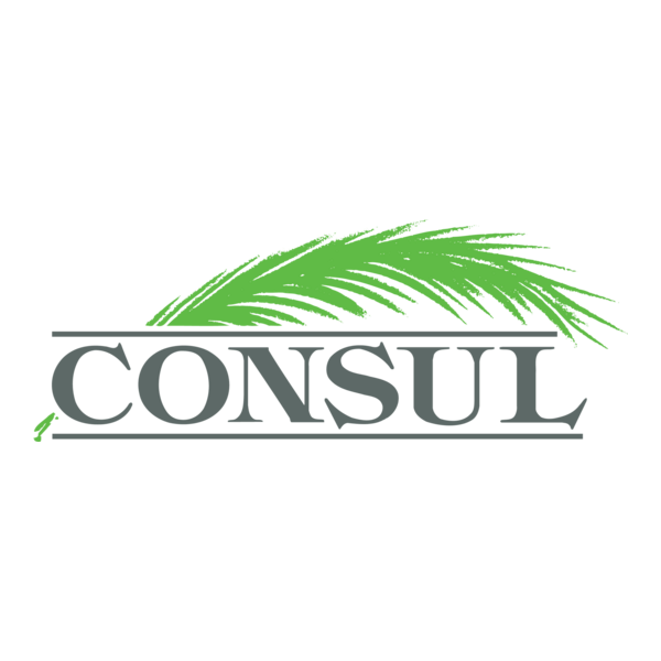 Consul Logo PNG Vector