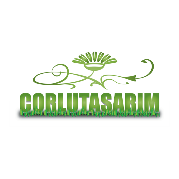 Corlutasarim.com Logo PNG Vector