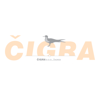 Cigra Logo PNG Vector
