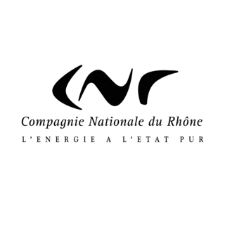 CNR Logo PNG Vector