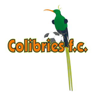 colibries Logo PNG Vector