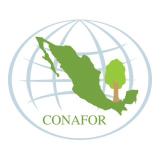 Conafor Logo PNG Vector